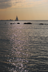 sailboat on the sea