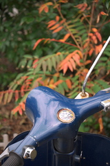 old vespa and autumn leaves