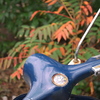 old vespa and autumn leaves