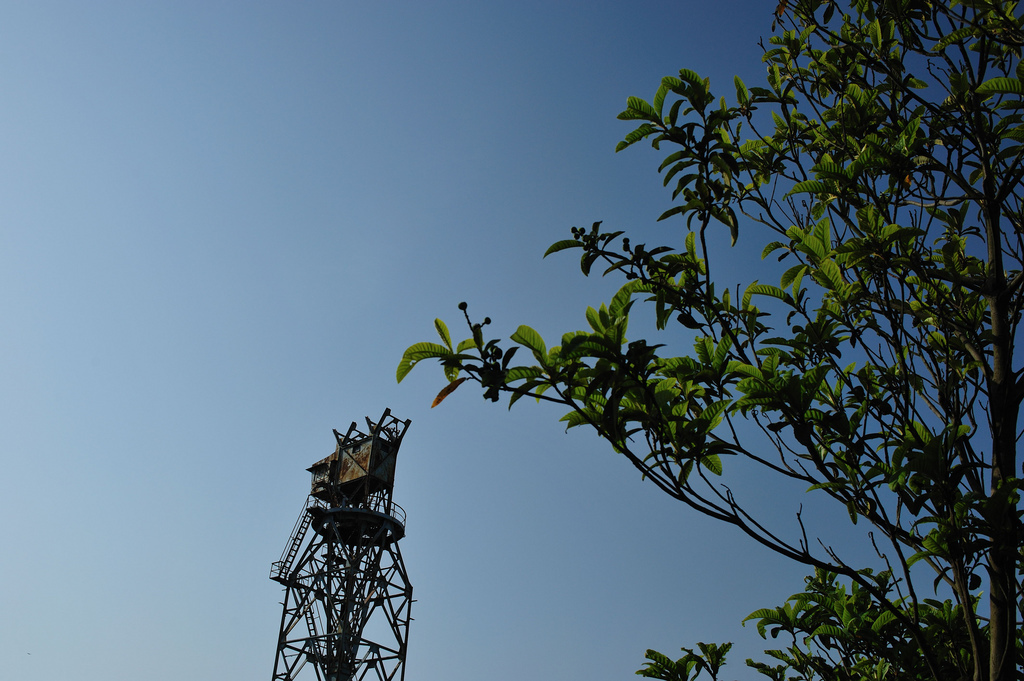 mechanical bird