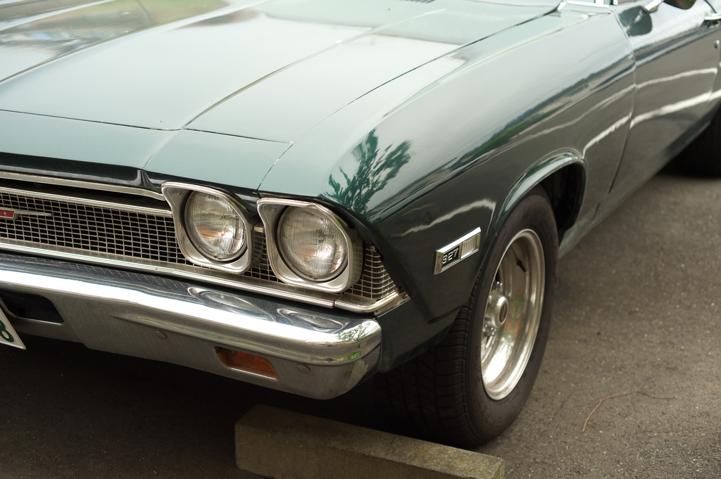 el camino