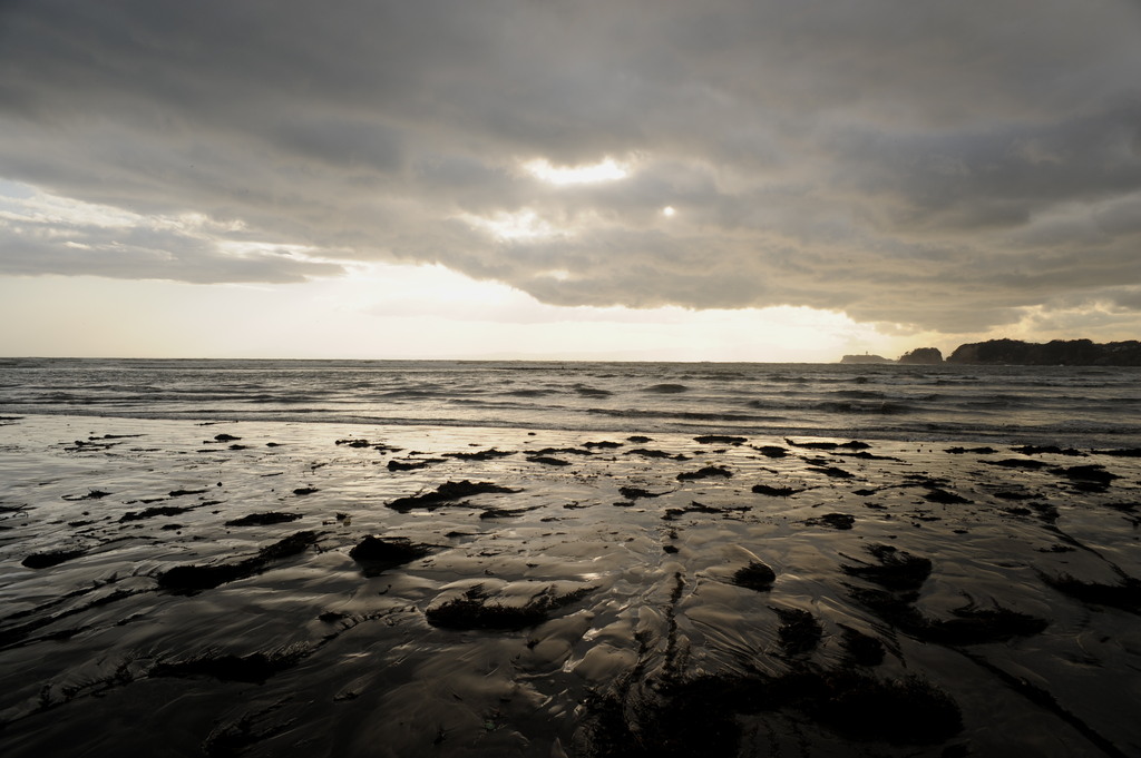 enoshima and seaweed