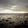 enoshima and seaweed