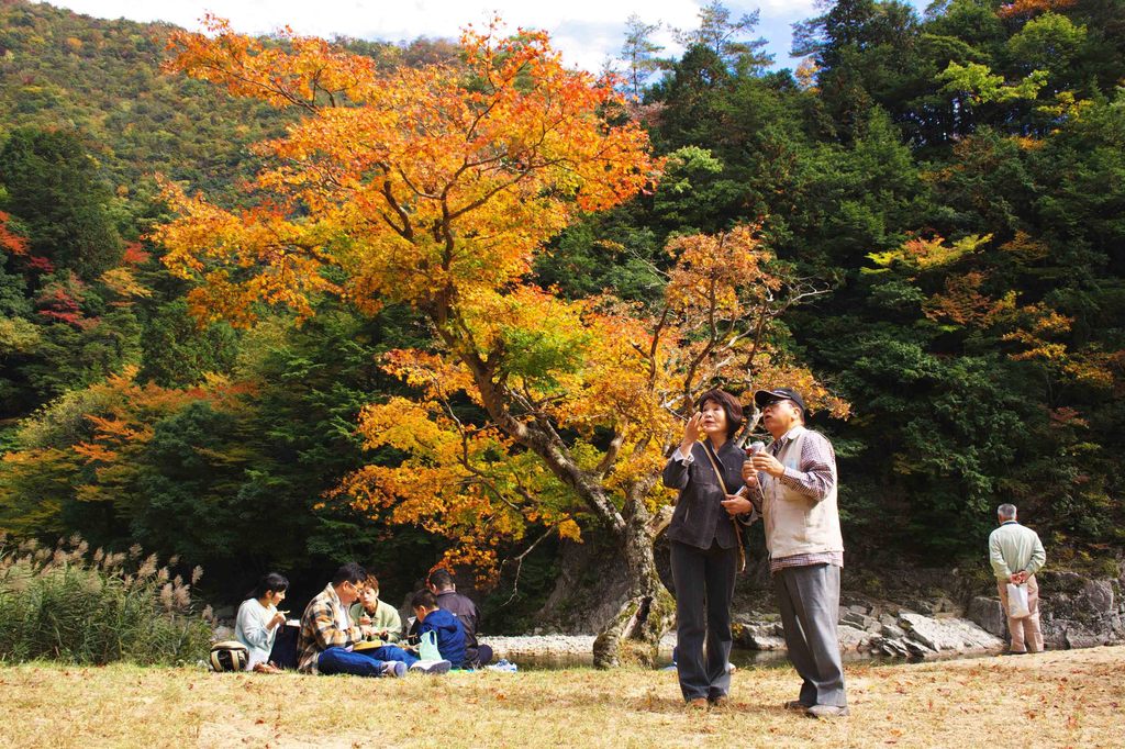 紅葉狩り