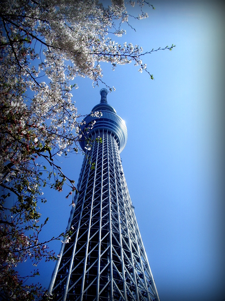 スカイツリー