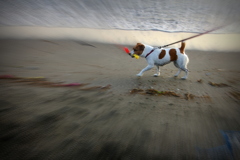 なんか得意げ・・。