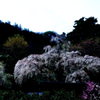 長興山紹太寺