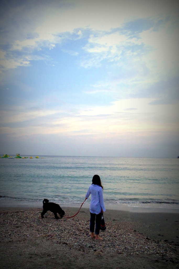 影絵じゃいないけど逗子海岸