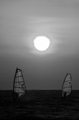 ウィンドサーフィン