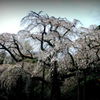 長興山紹太寺（要拡大です。）