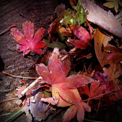 紅葉劇場2012