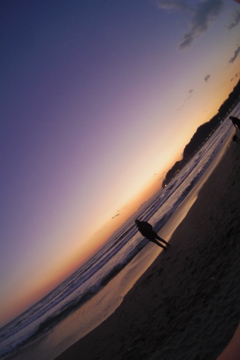 由比ヶ浜のダンディー