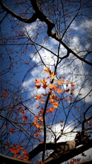 紅葉劇場2013