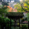 門