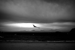 影絵小屋・逗子海岸