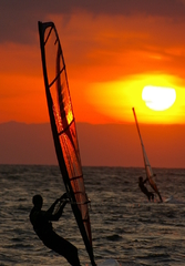 ウィンドサーフィン