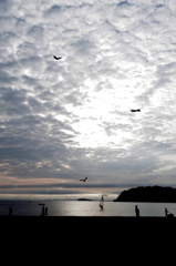 影絵小屋・逗子海岸