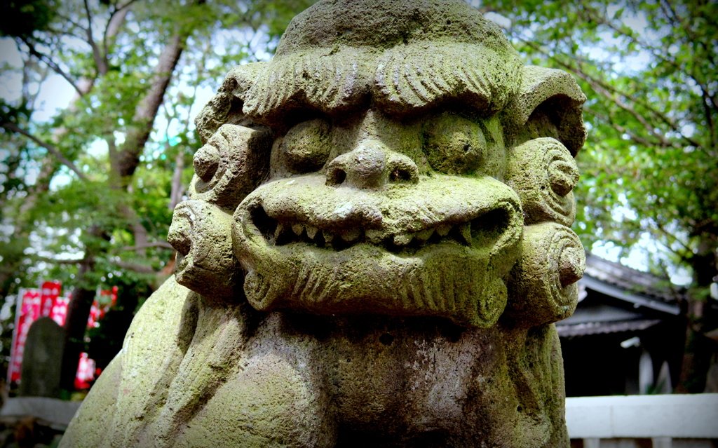 狛犬　亀ヶ岡八幡宮