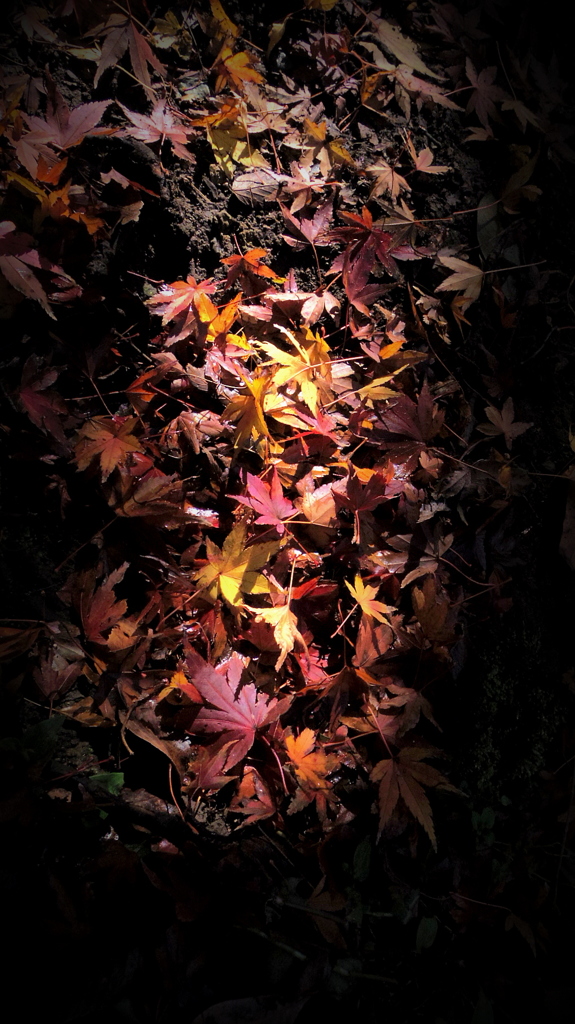 紅葉劇場2012