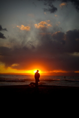 影絵小屋・逗子海岸