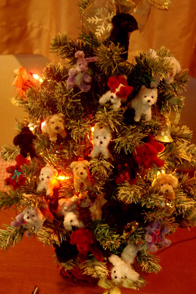 Merry Christtmaｓ！