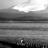 ひとり