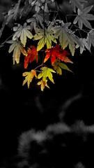 紅葉劇場2010