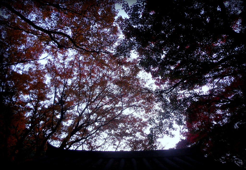 紅葉劇場2012