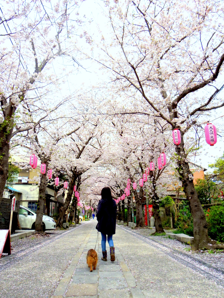 称名寺参道