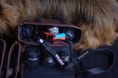 Q10モニター！！