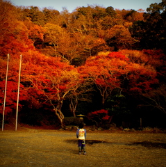 紅葉劇場2013