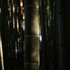 竹の力