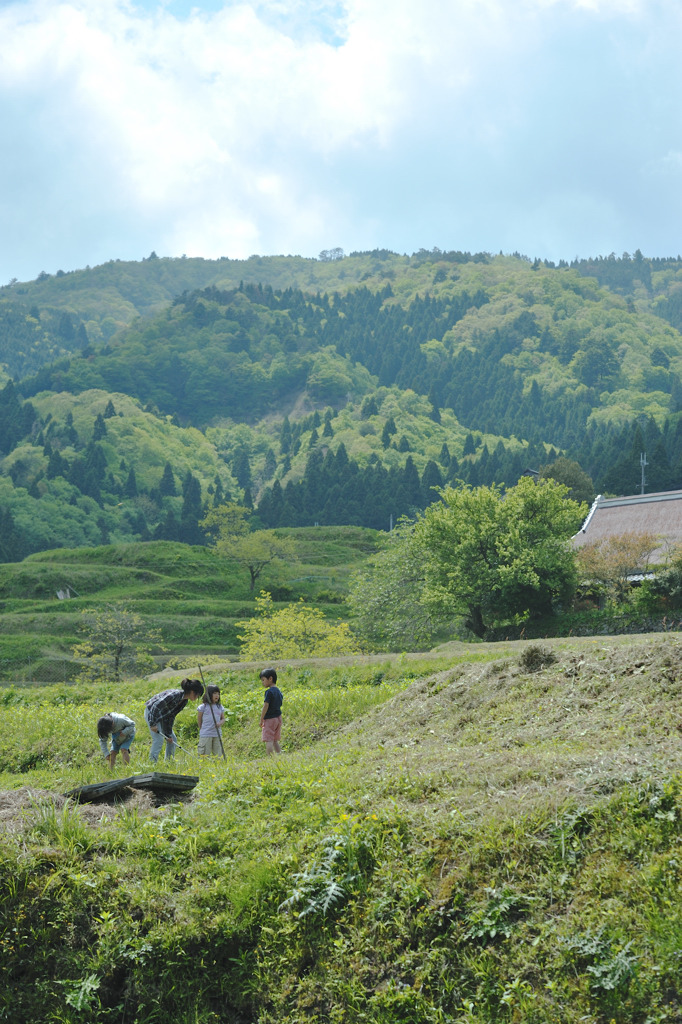 田園