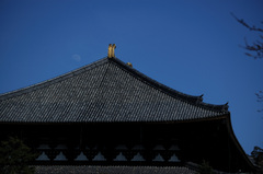 東大寺