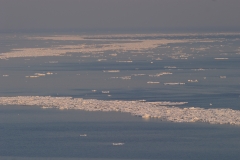 釧路の流氷