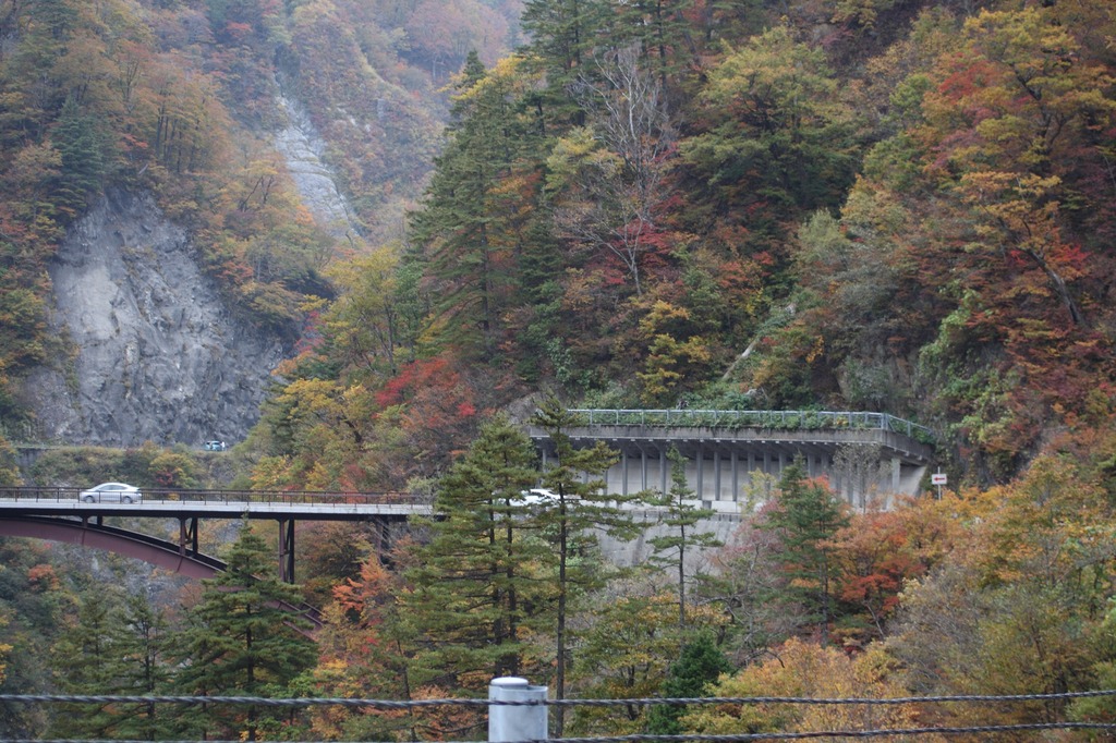 白山スーパー林道　3