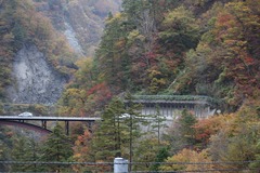 白山スーパー林道　3