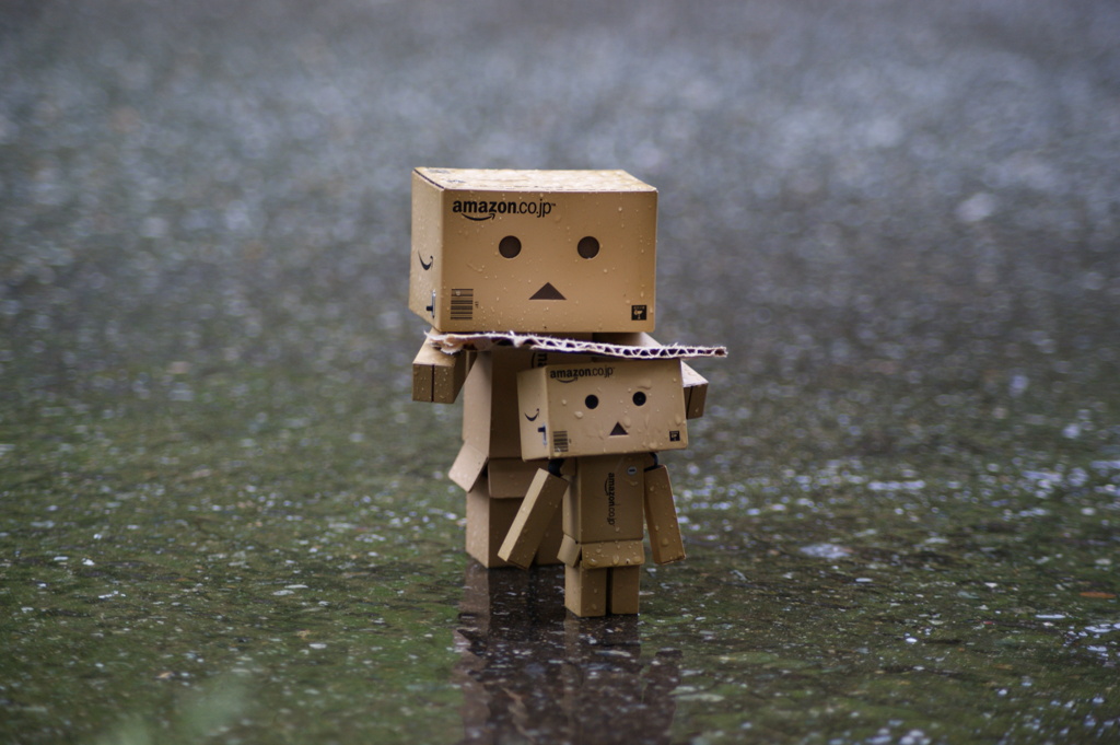 ダンボー親子と雨の中。