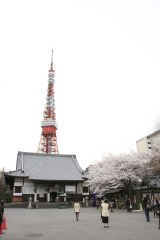 増上寺を貫く