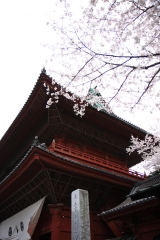 増上寺_三門