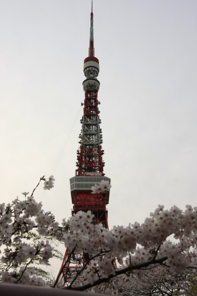 sakura_tower