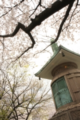 増上寺_大納骨堂