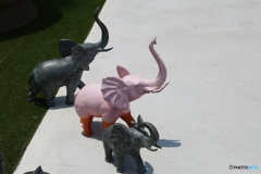 ピンクの象さん