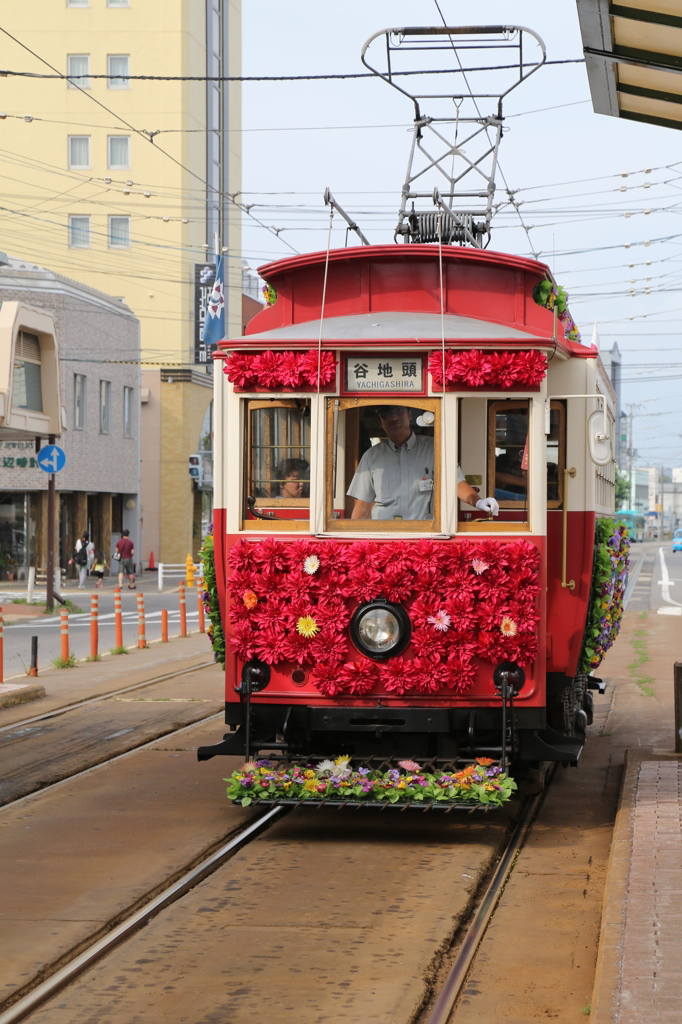 路面電車