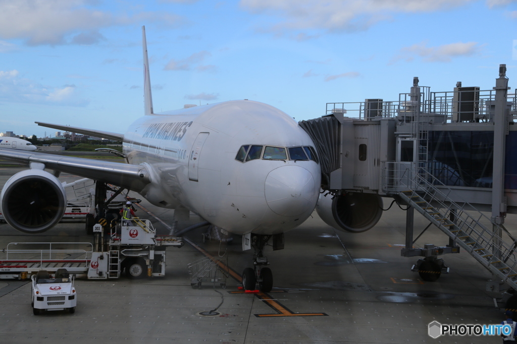 飛行機