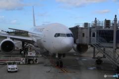 飛行機