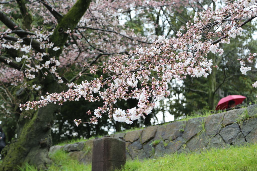 蹴上インクライン