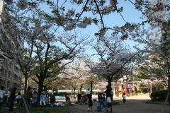 銅座公園