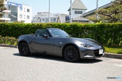 MAZDA ROADSTER
