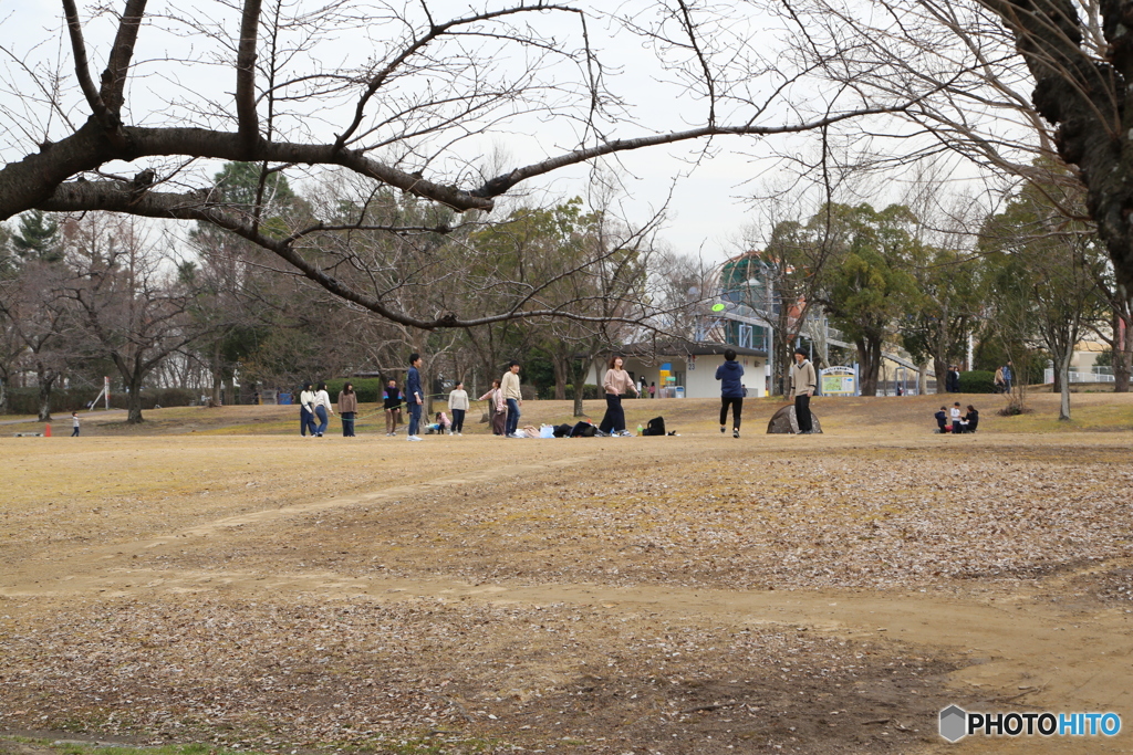 万博記念公園